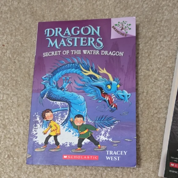 Chapter Book Collection - Picture 6 of 10